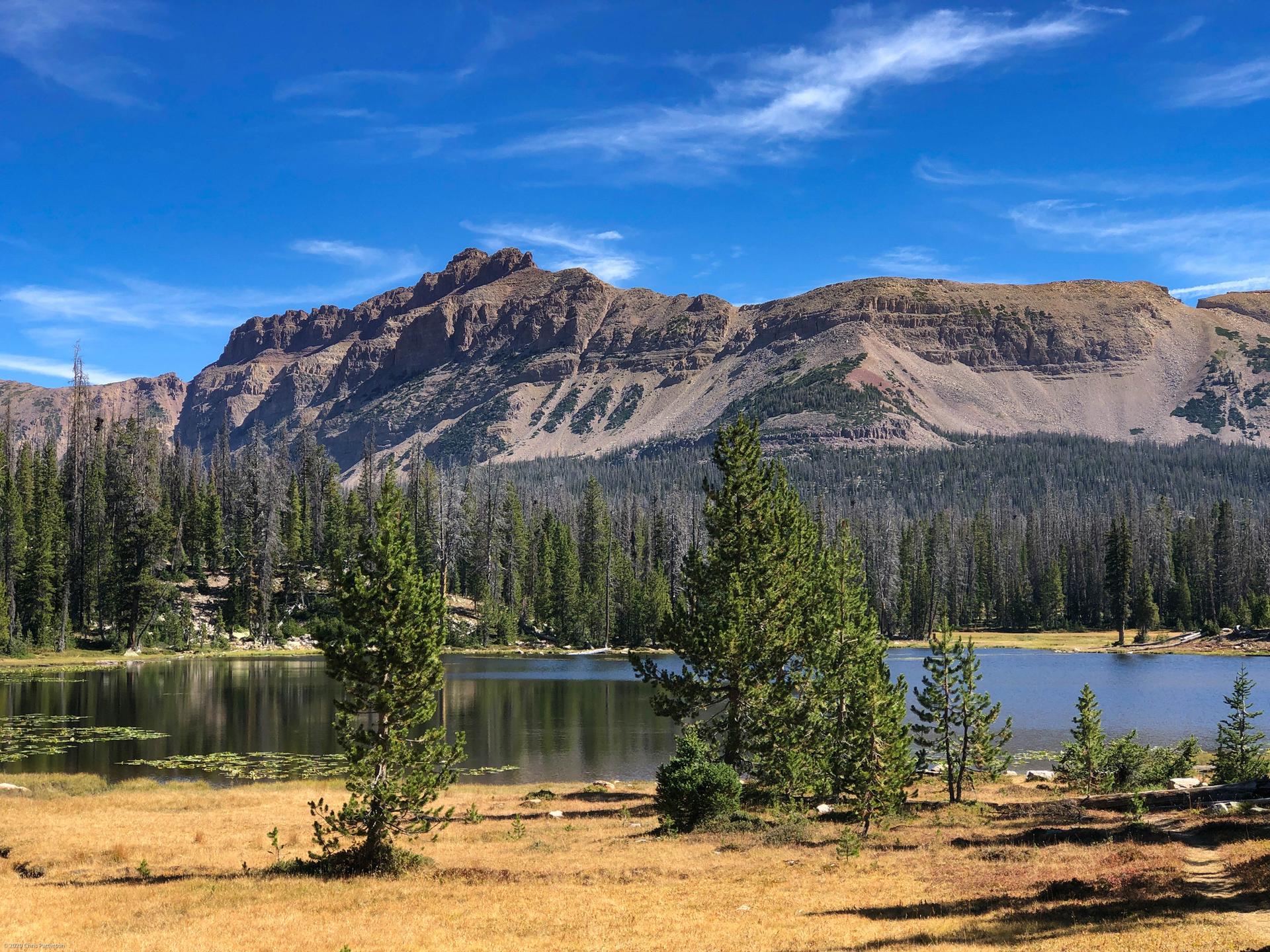 Mountain lake with evergreen trees, golden grass, and rugged peaks under a blue sky.