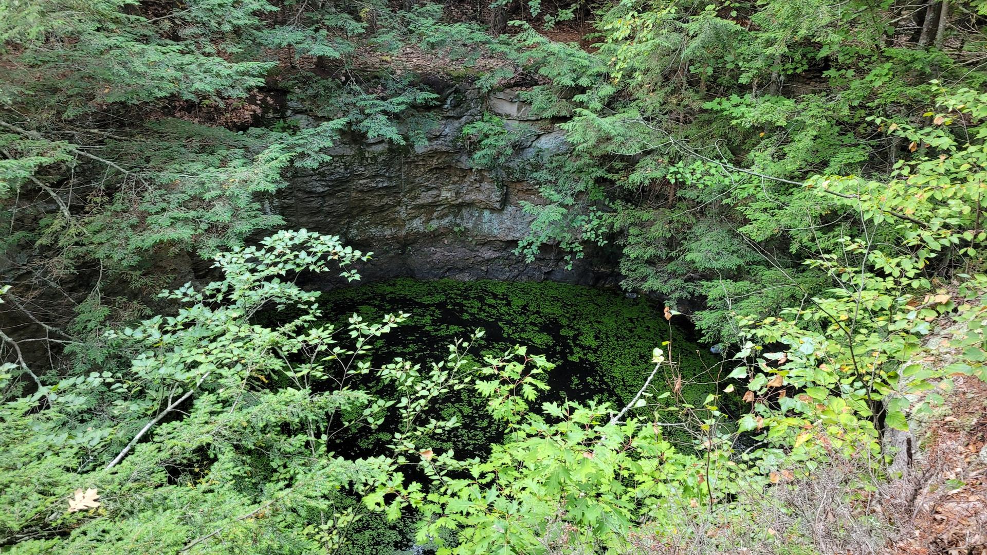 A dark, mossy cave entrance surrounded by dense green forest foliage.