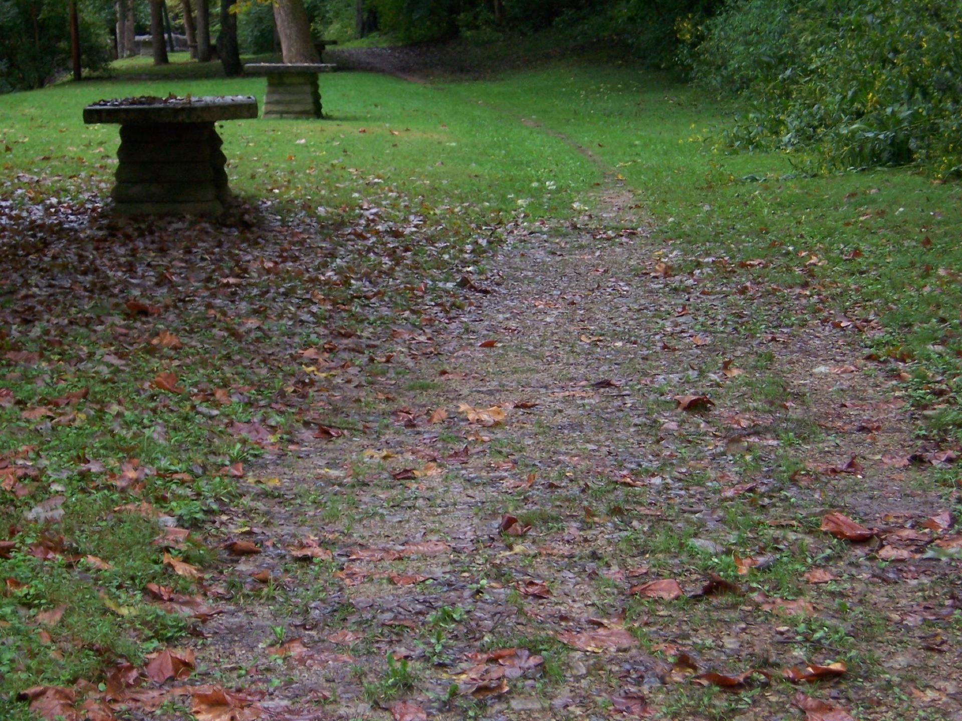 A dirt path winds through a grassy area with stone tables and fallen leaves.