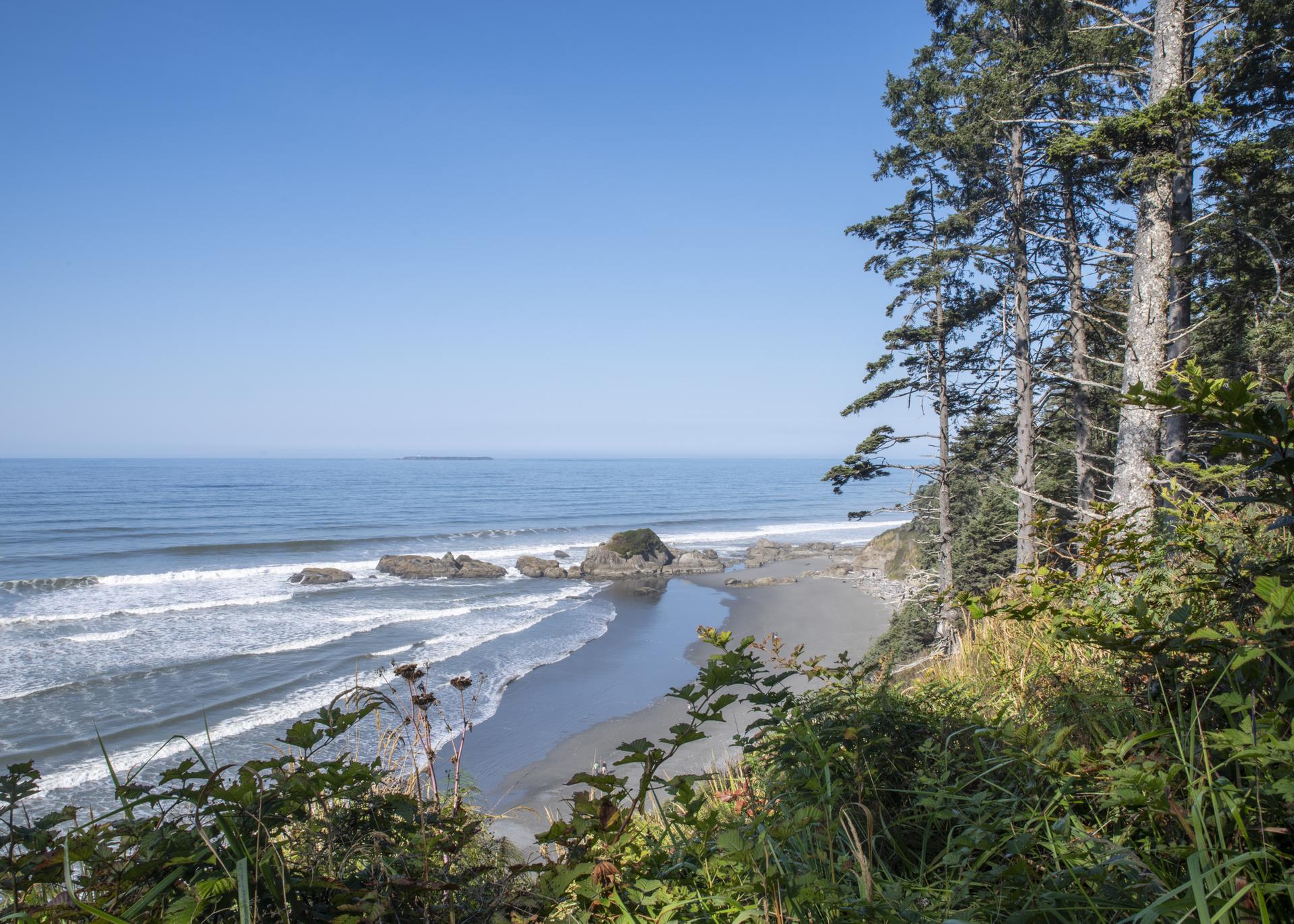 Bright coastal view of ocean waves, sandy beach, sea stacks, and forested cliffs.