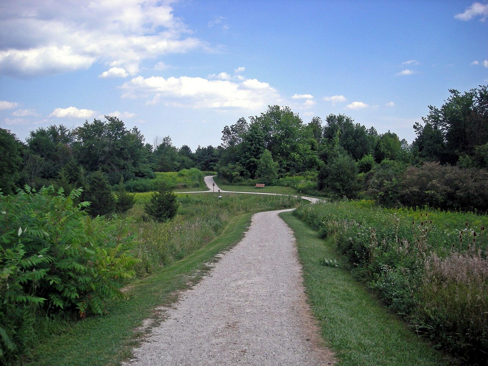 A person walks on a winding gravel path through a green, sunny landscape.