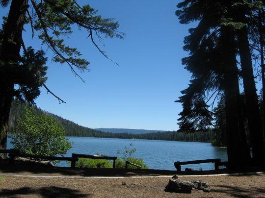 Expansive lake view framed by tall trees and benches on a sunny day.