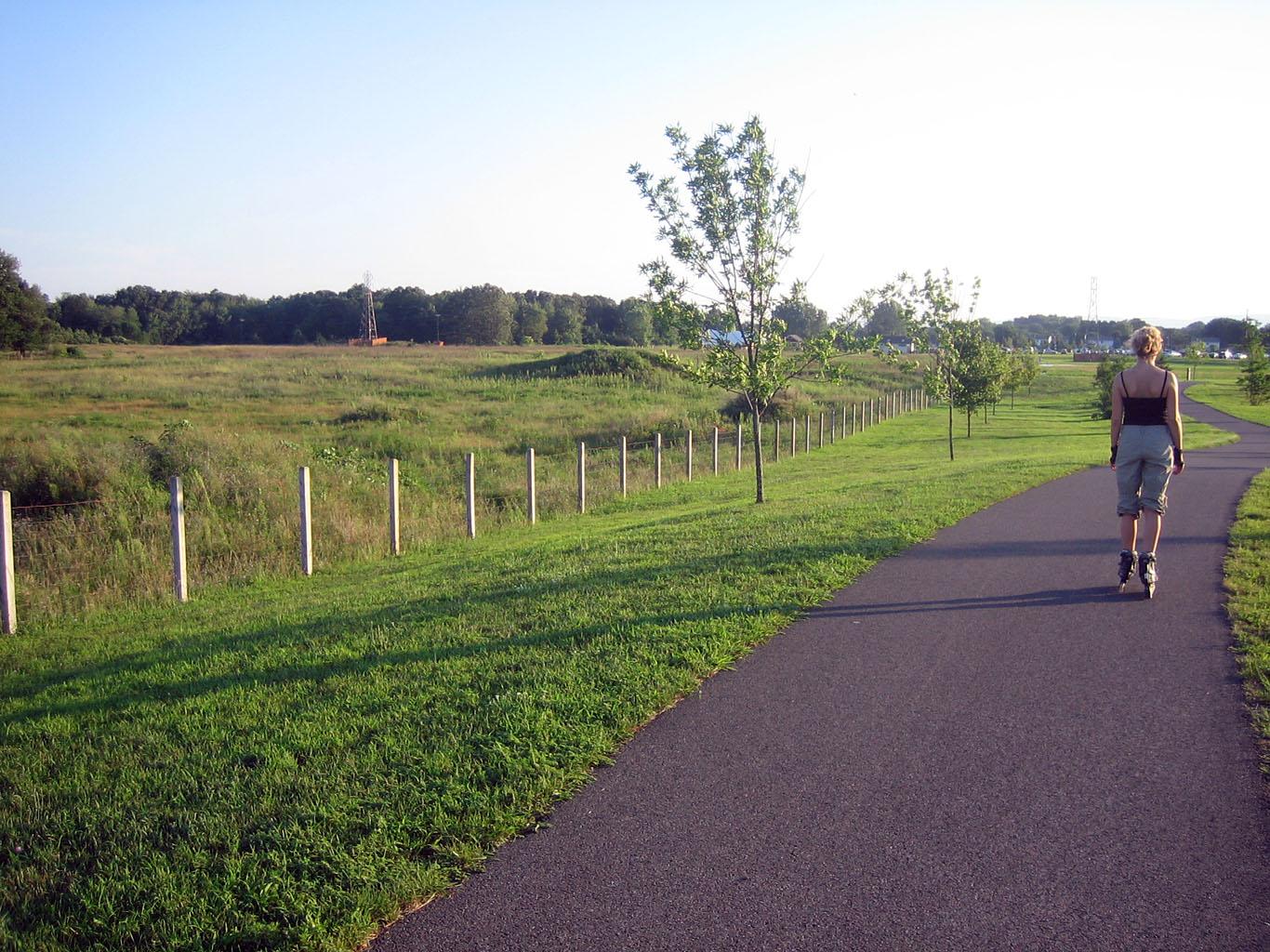 Woman rollerblading on a paved path through a sunny green field.