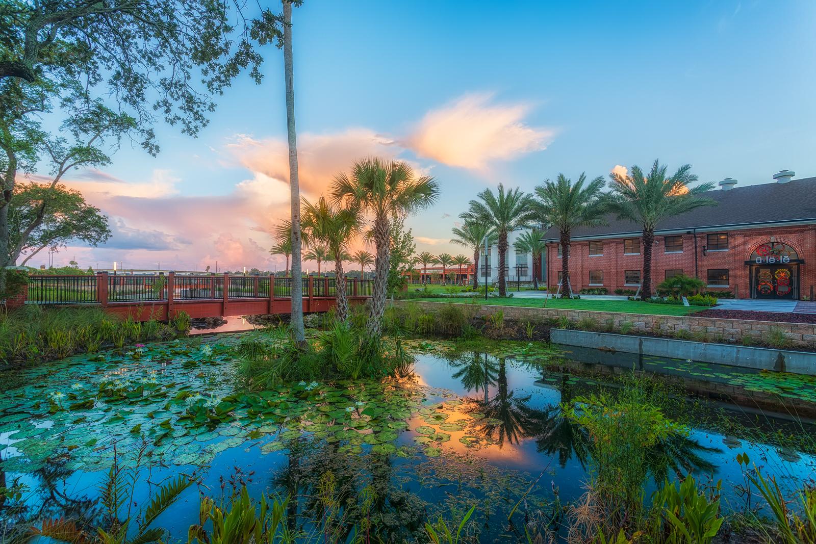 Pond with lily pads, palm trees, and a brick building at sunset.