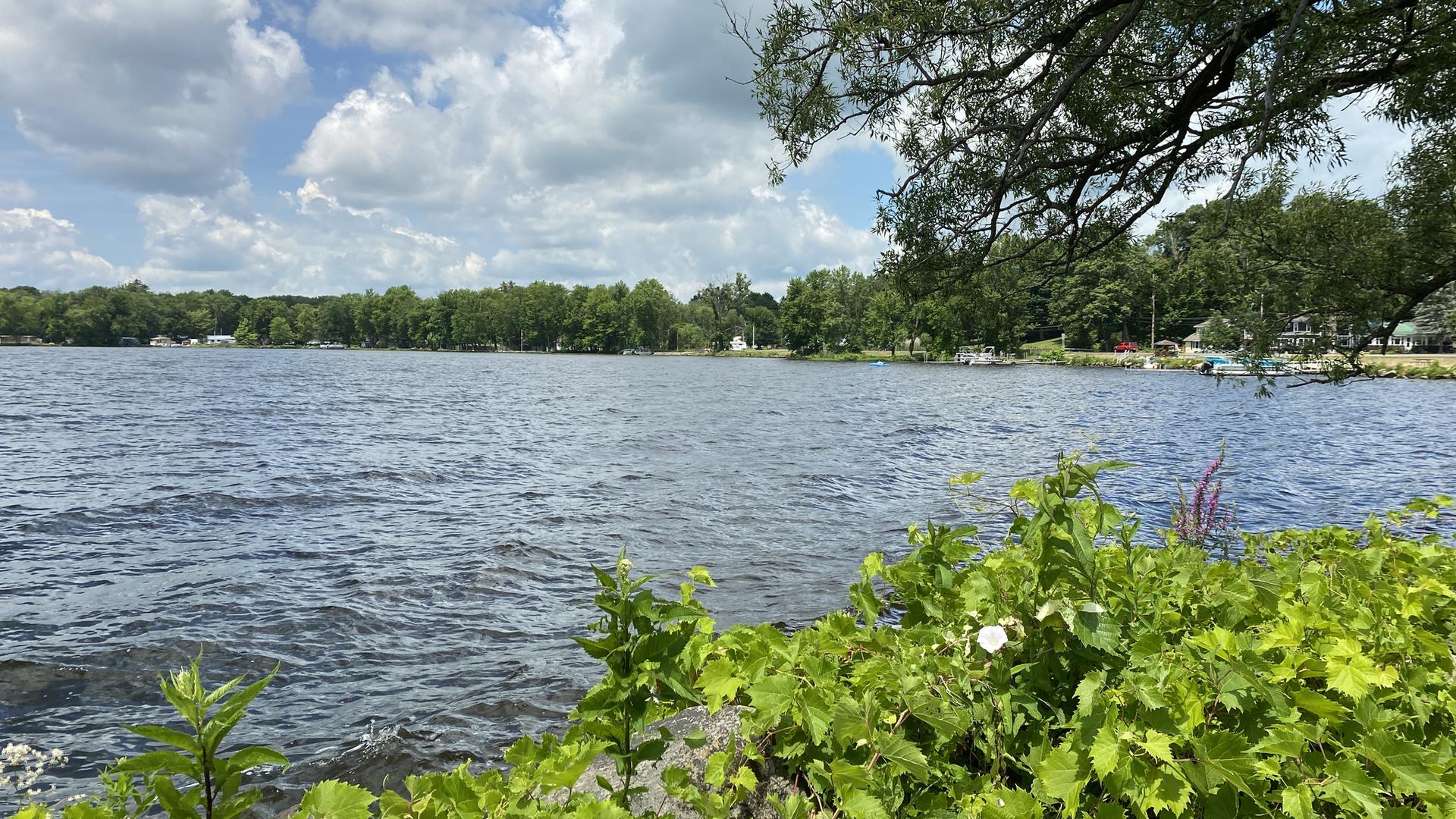 Expansive blue water with green trees on distant shore under a bright, cloudy sky.