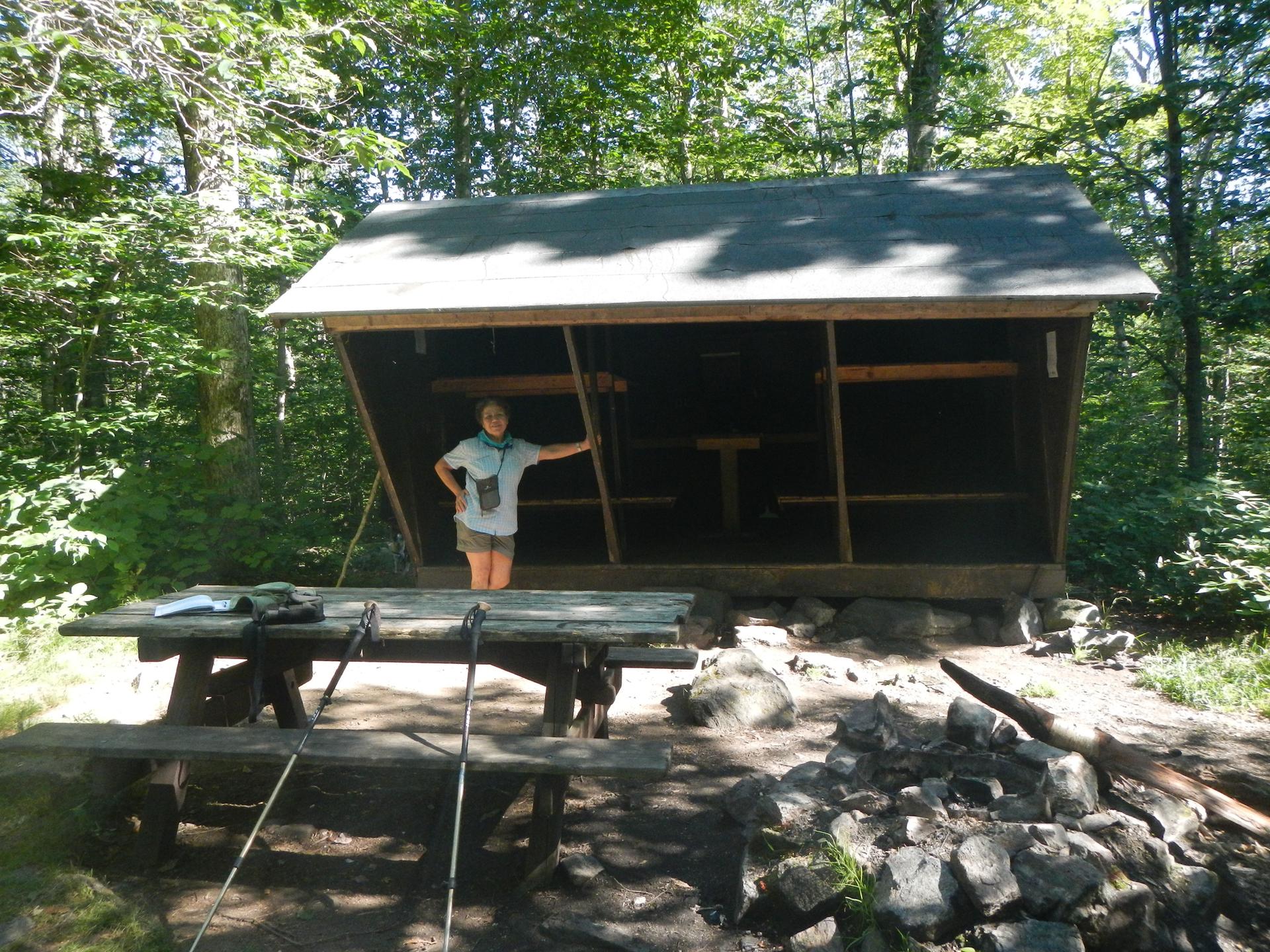 A person stands by a wooden lean-to shelter and picnic table in a forest.