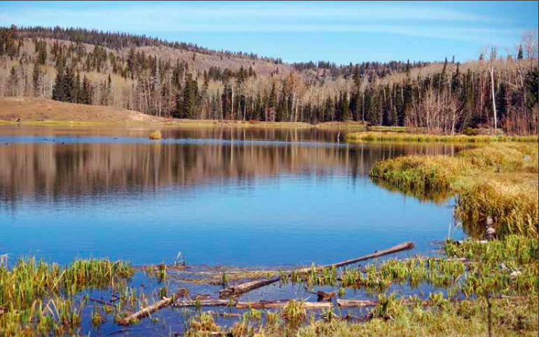Calm lake reflecting forested hills under clear blue sky, with marshy foreground. - Great Western Trail, Hell's Backbone and McGath Lake Loop