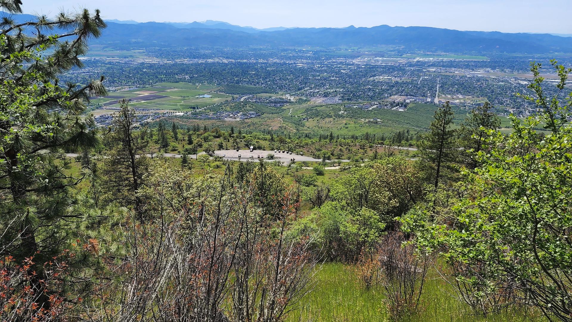 Panoramic view of a distant city and mountains from a green, tree-covered hillside.