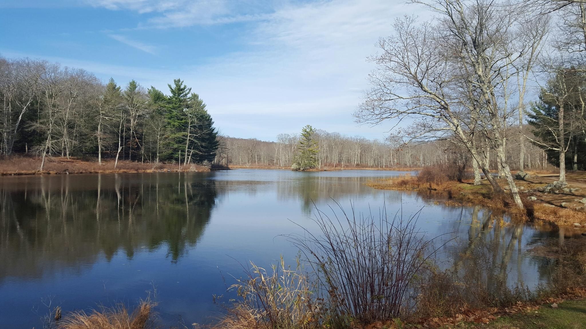 A calm lake reflecting bare and evergreen trees under a bright sky. - Gay City Red Blazes Trail