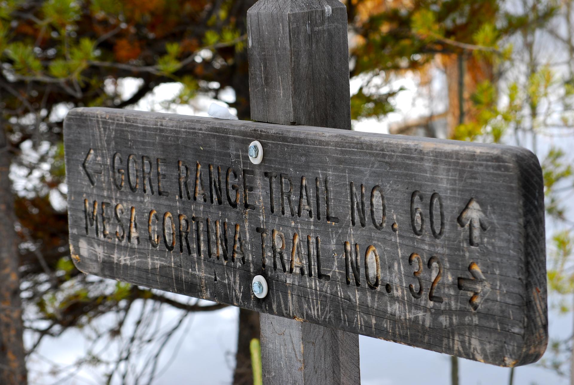 A weathered wooden trail sign points directions in bright natural light.
