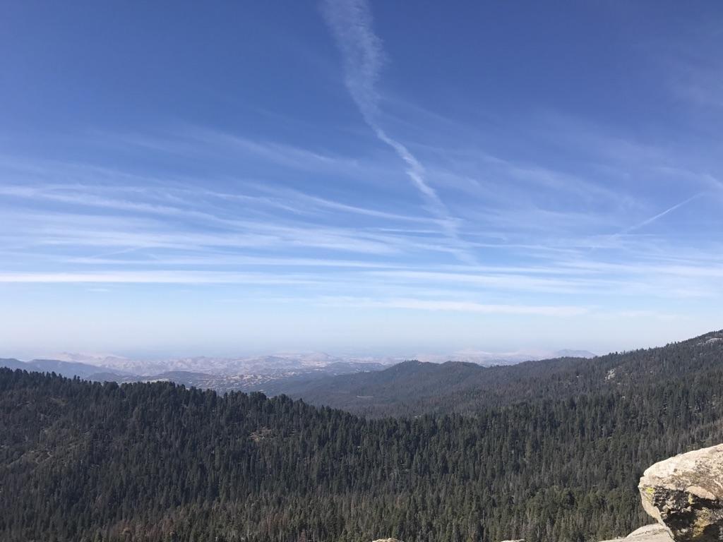 Panoramic view of a vast forest and distant mountains under a blue sky.