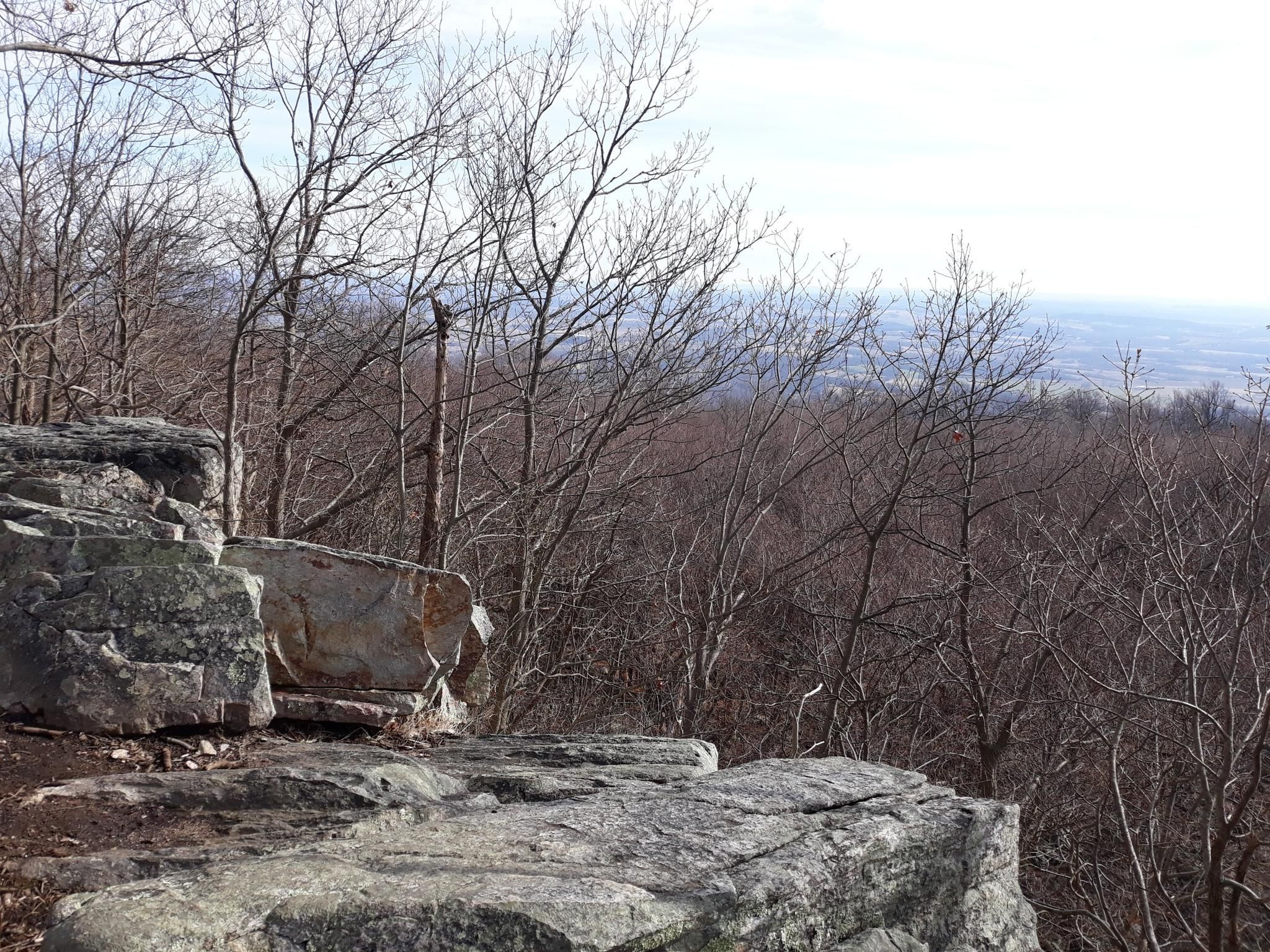 Large rocks overlook a vast forest of bare trees under bright, hazy skies. - Bob’s Hill Trail