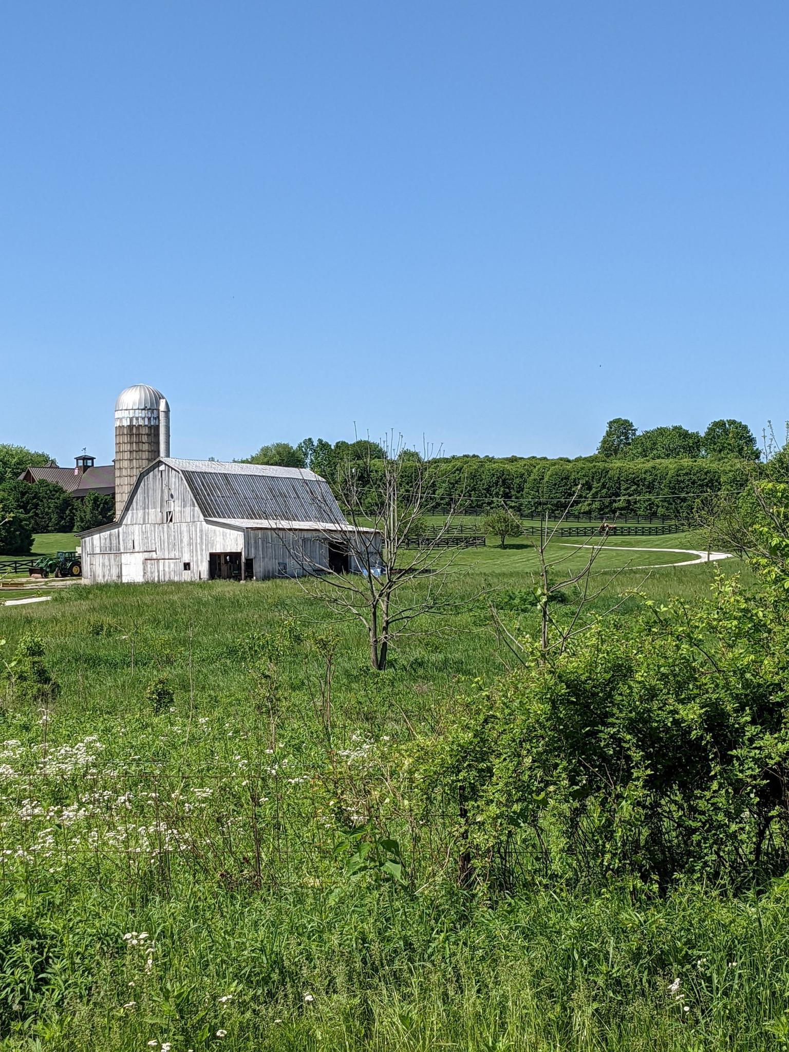 White barn and silo in a sunny green field under a clear blue sky.
