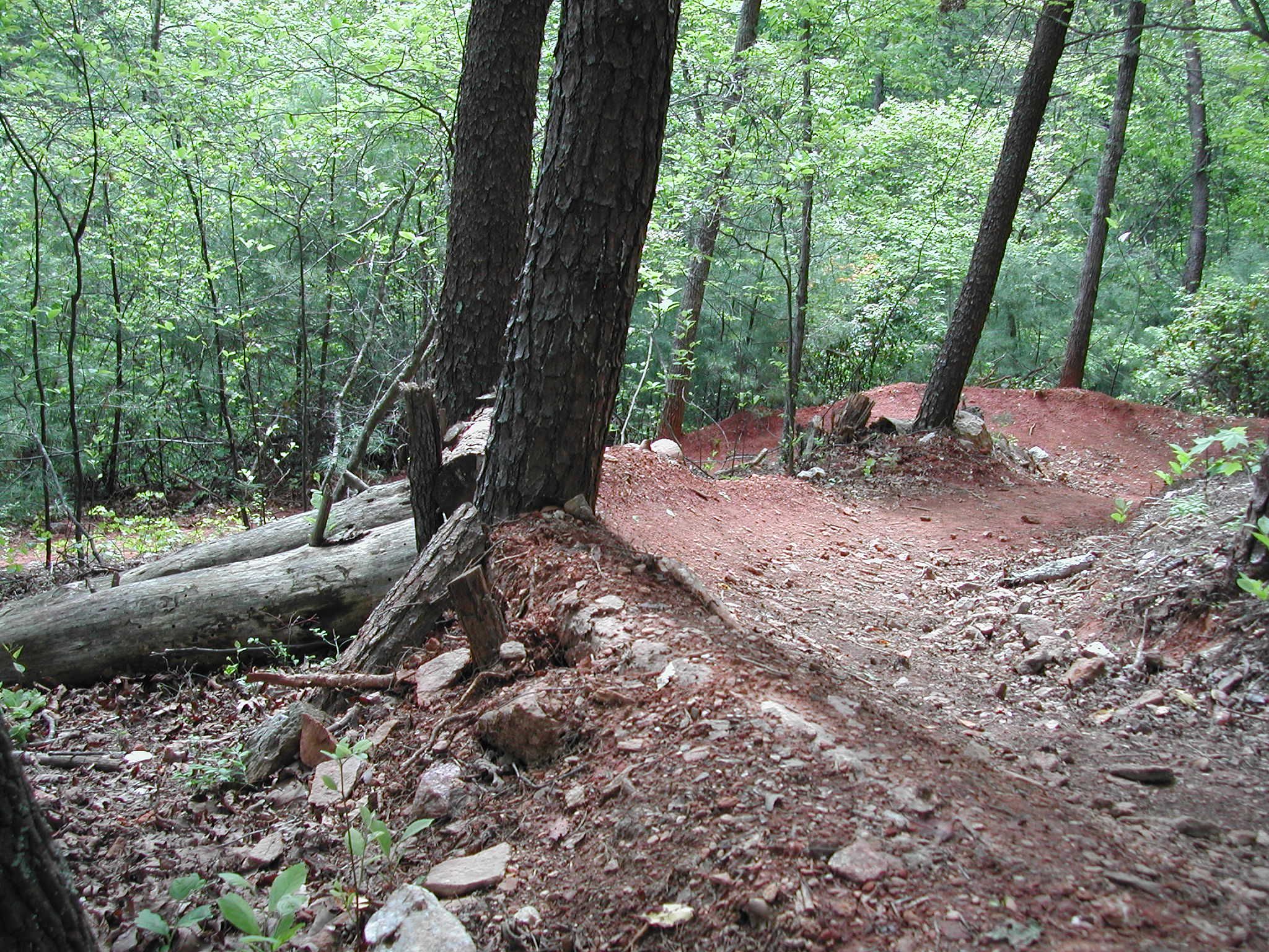 A winding dirt trail with red soil through a dense, green forest. - Dark Mountain Trail