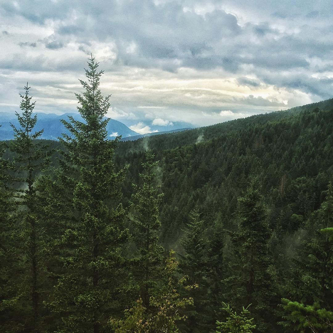 Vast evergreen forest covering rolling hills under a dramatic, cloudy sky.
