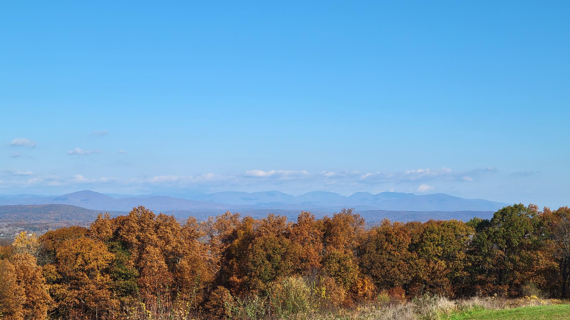 Expansive view of vibrant autumn trees and distant mountains under clear blue sky.