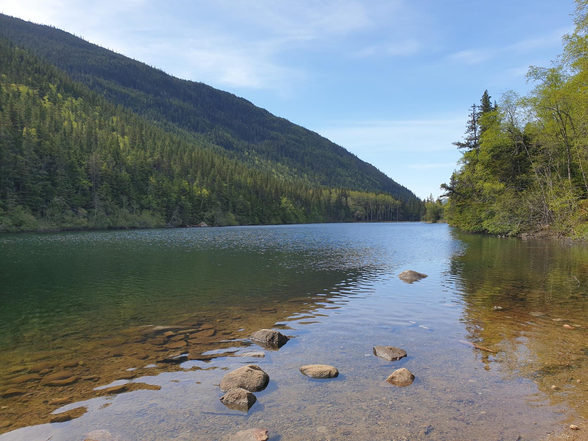 Clear lake with rocky shallows, flanked by green forested mountains under blue sky.