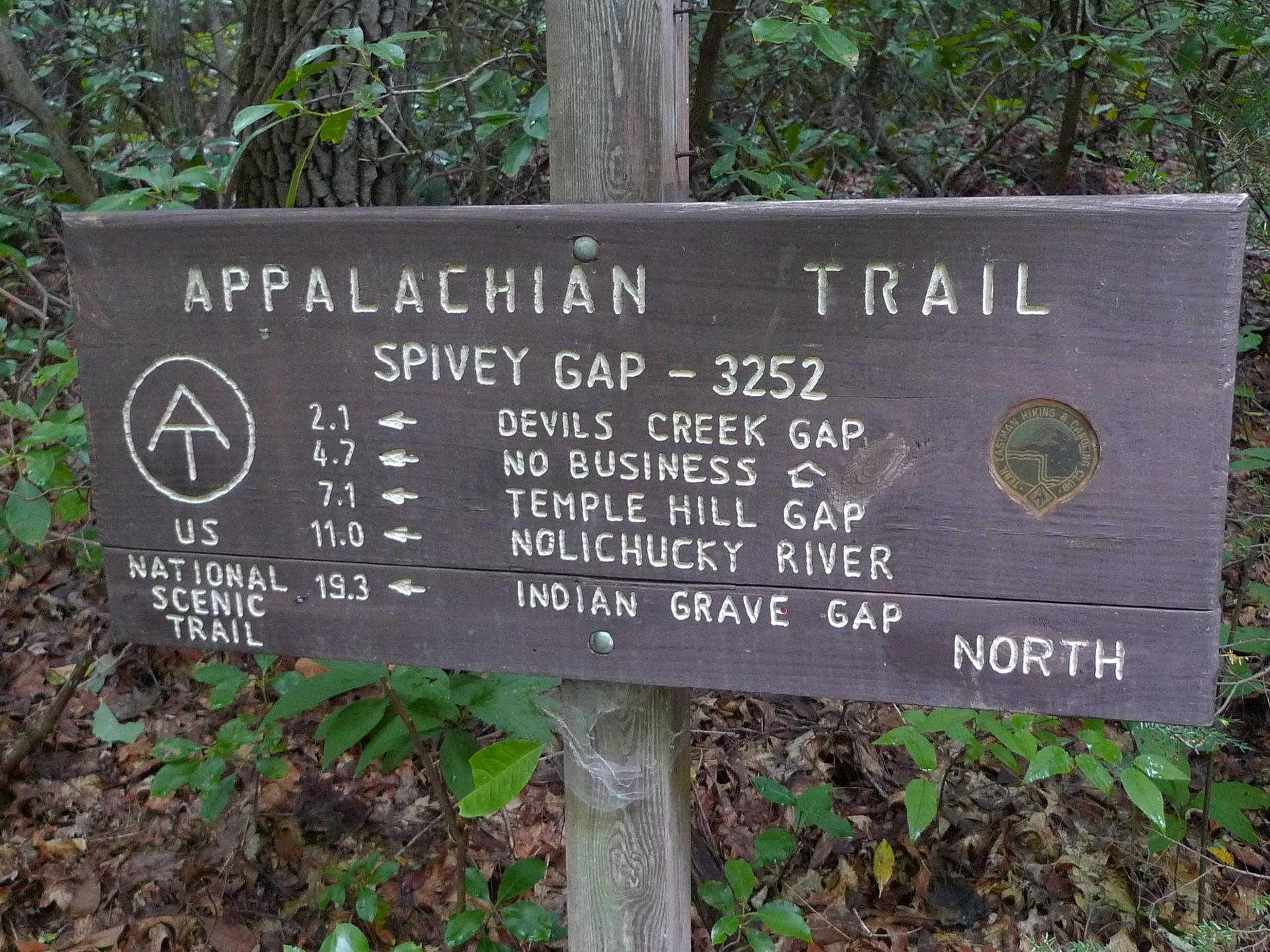 A wooden trail sign with white text in a bright forest.