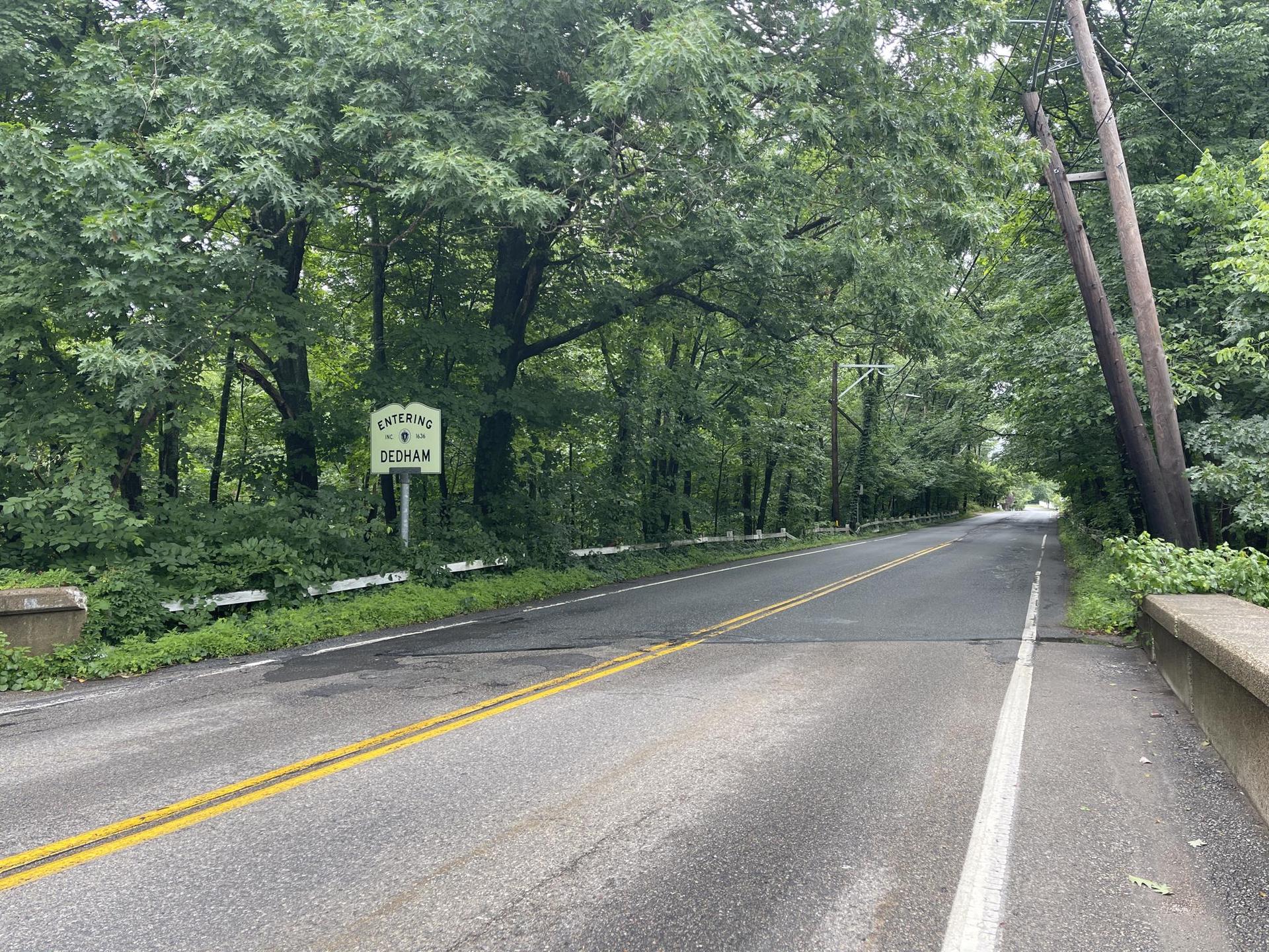 Road through a lush green forest with a sign and utility pole.