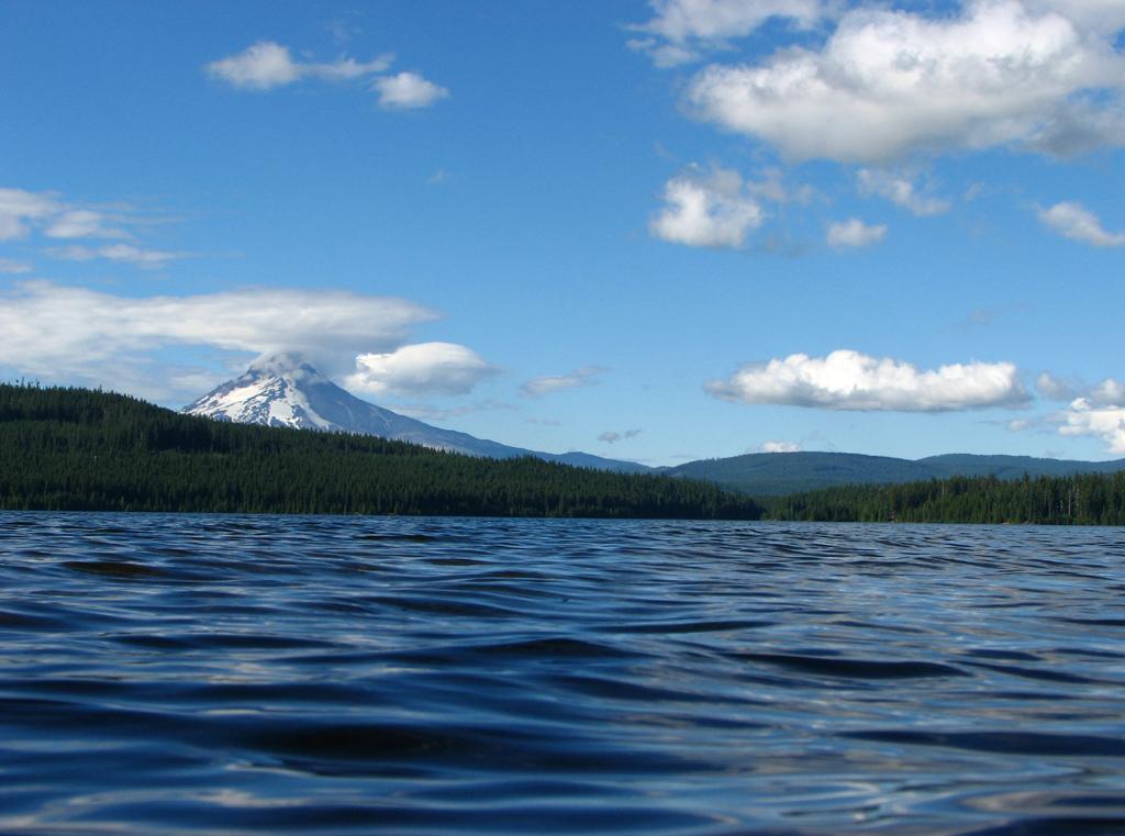 Blue water with a snow-capped mountain and forested hills under a sunny sky.