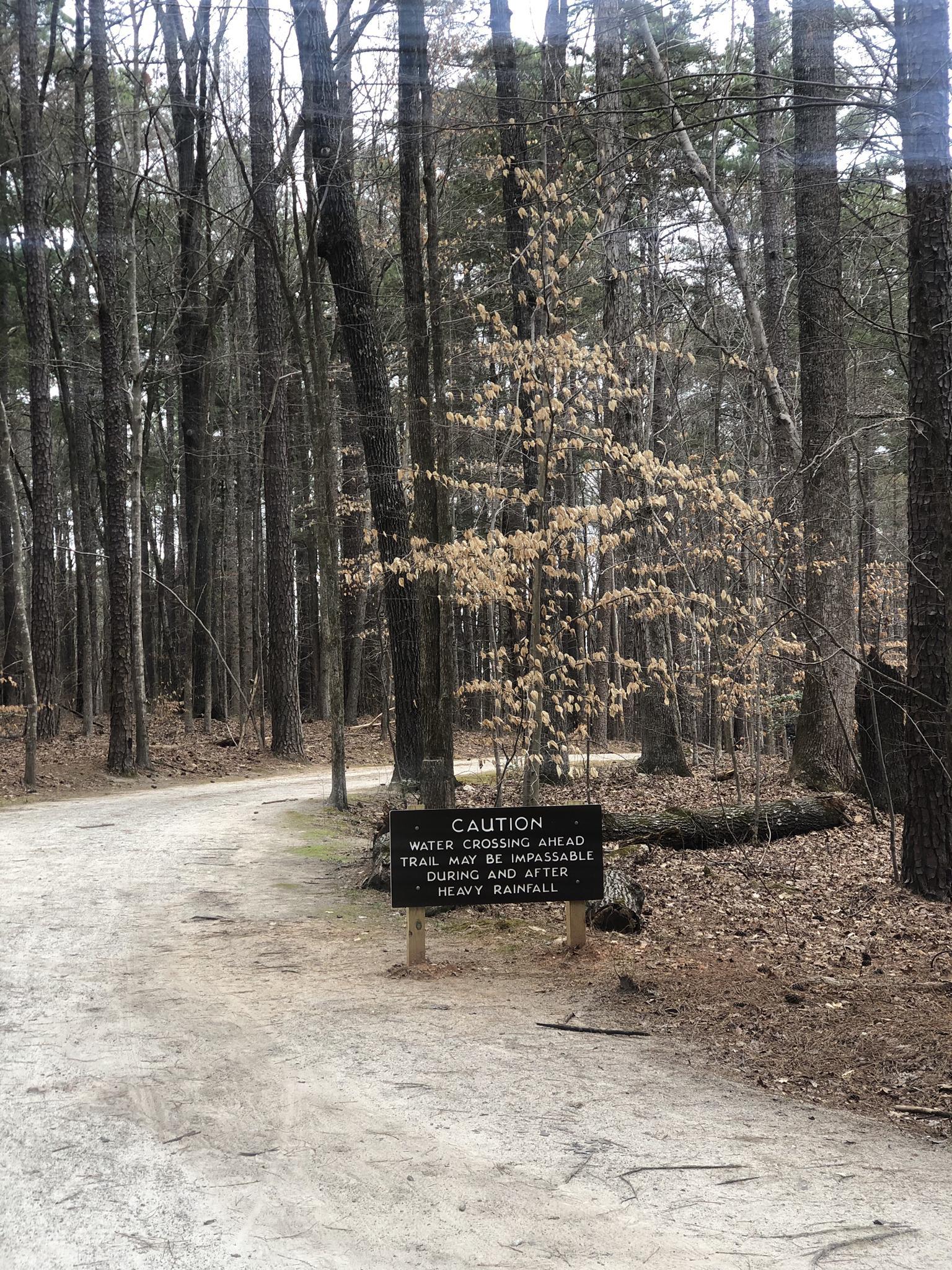 Caution sign on a dirt path in a dense, bare winter forest.