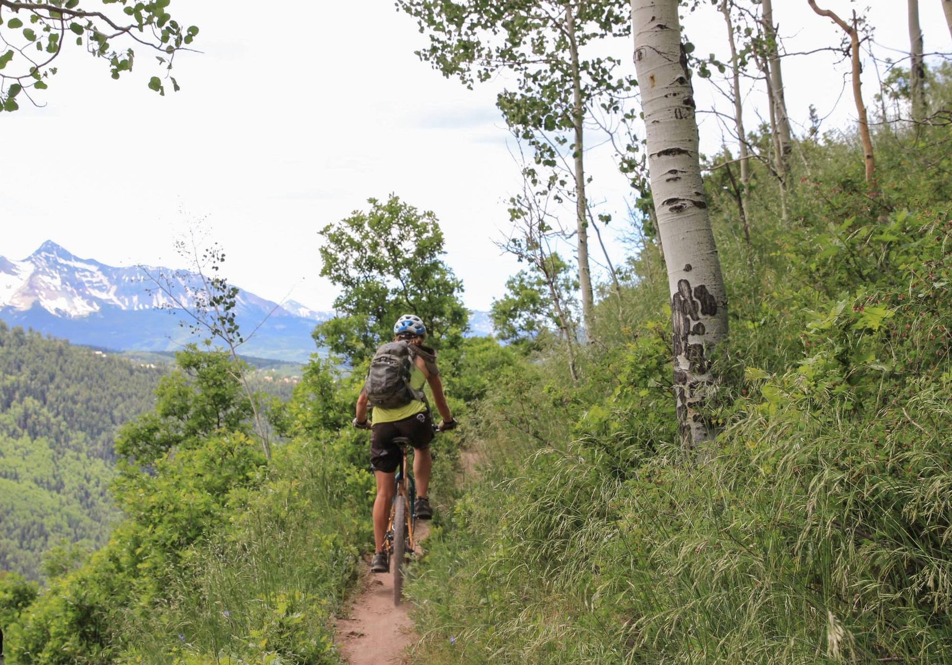 Person mountain biking on a dirt trail through a green, tree-lined hillside.