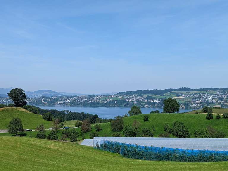 Tour dei Tre Laghi: Lago di Lucerna, Lago di Lauerz e Lago di Zugo ...