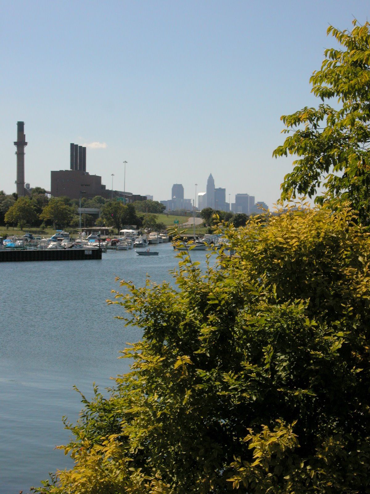 Marina with boats, distant city skyline, and vibrant green trees. - Perimeter Loop Trail