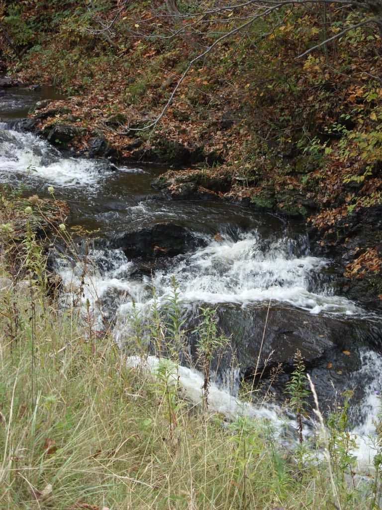 A rocky stream with small waterfalls flowing through an autumn forest. - Waterfall Trails loop