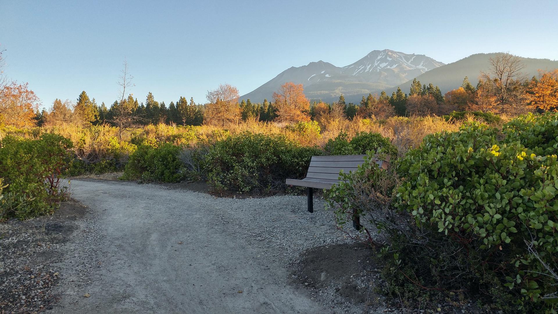 A dirt path and bench overlook a sunny field with a snow-capped mountain.