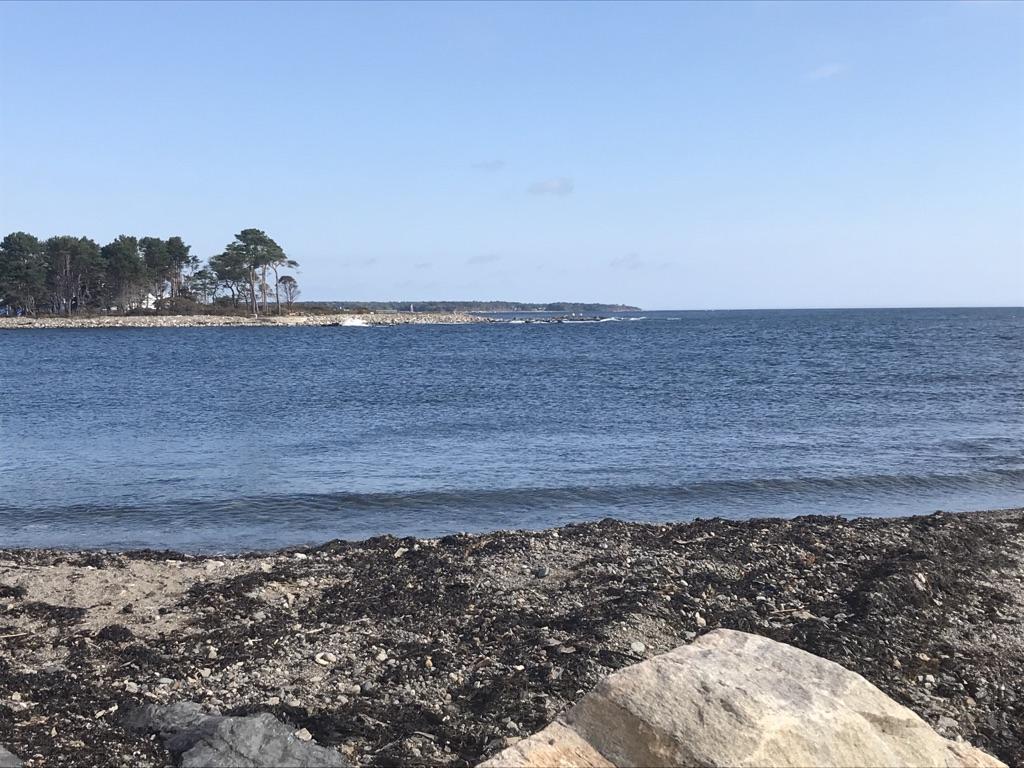 Sunny view of a calm blue ocean from a dark, rocky shore.