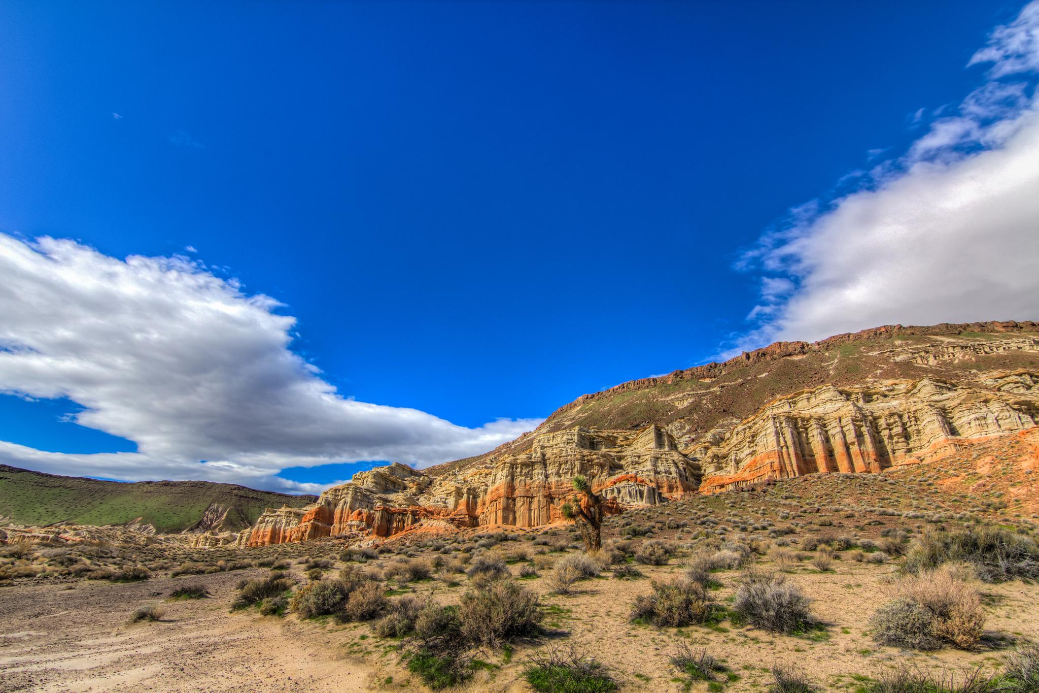 Expansive desert with colorful layered cliffs under a bright blue sky with clouds.