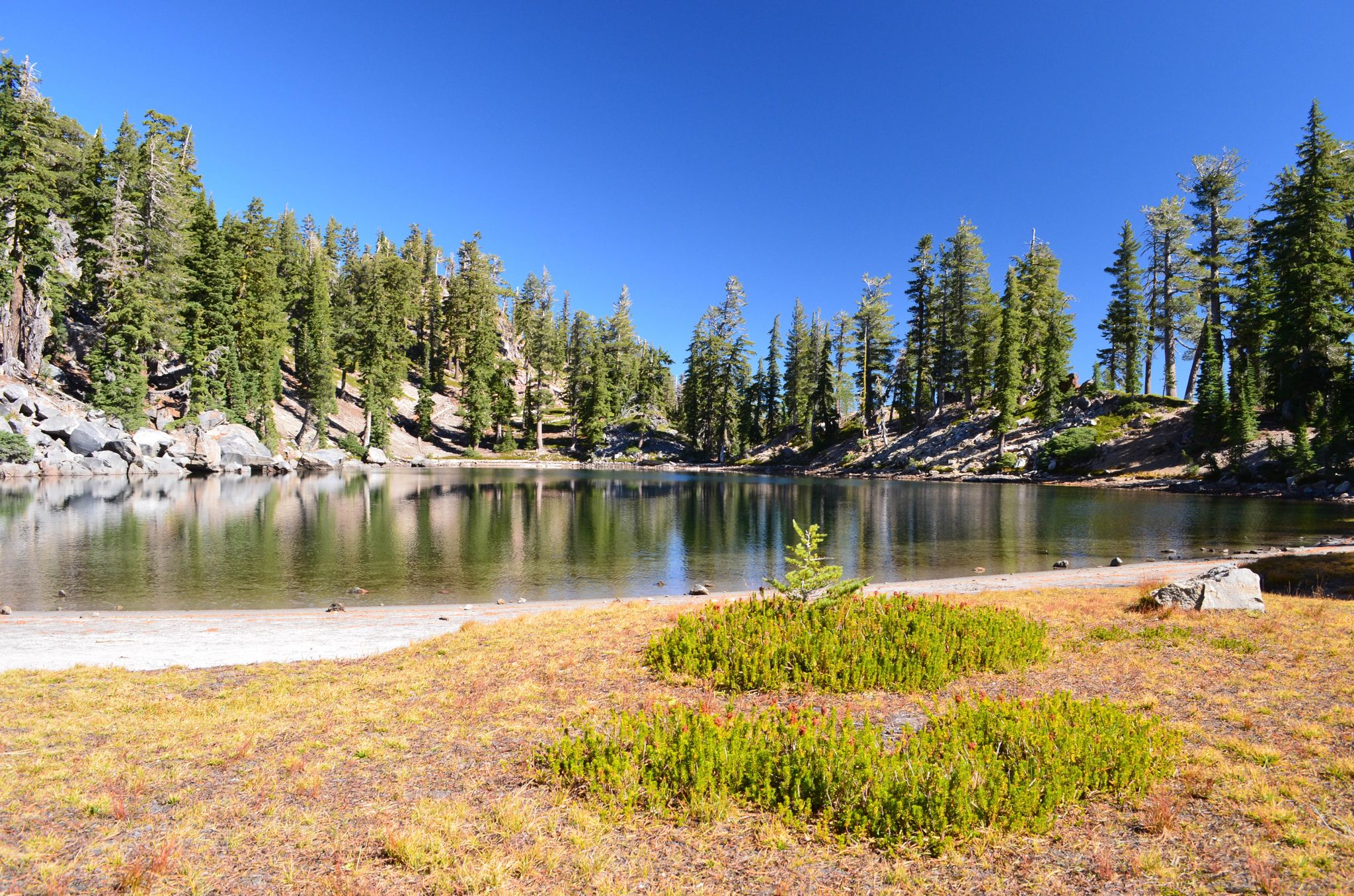 A calm lake reflecting pine trees, with a grassy and sandy shore. - Terrace, Shadow, and Cliff Lakes