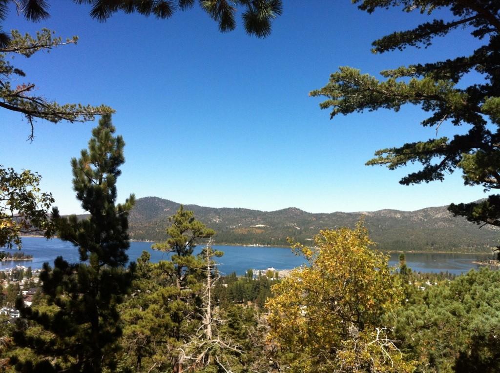 Bright view of a blue lake and mountains, framed by green pine trees.