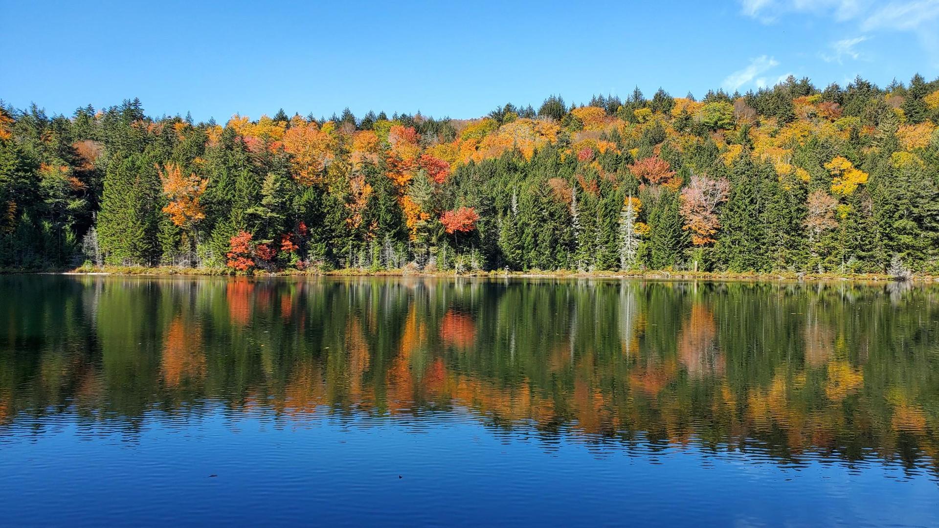 Clear lake reflecting colorful autumn trees under a bright blue sky.