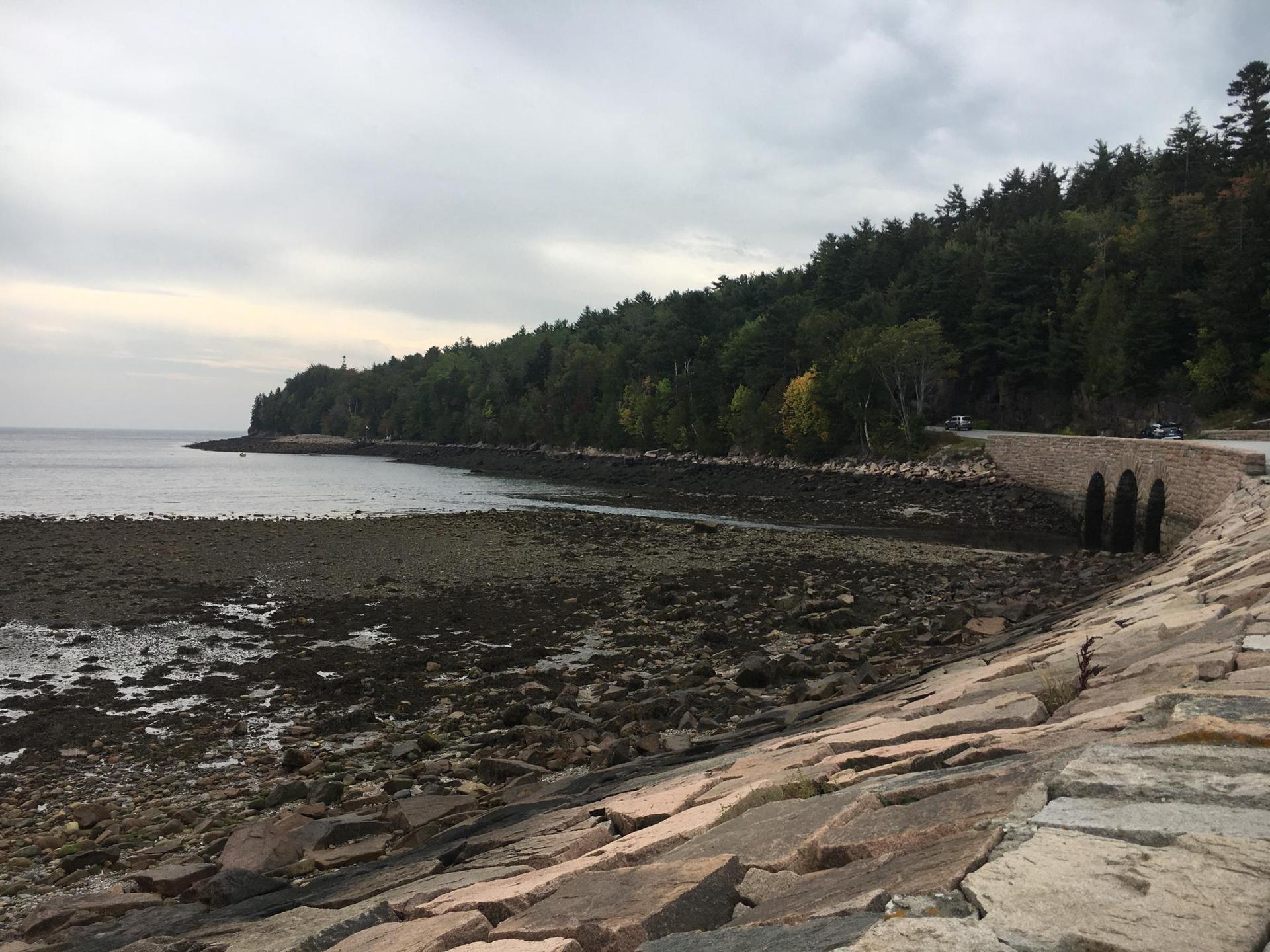 Overcast view of a rocky tidal flat, dark ocean, and a stone causeway.