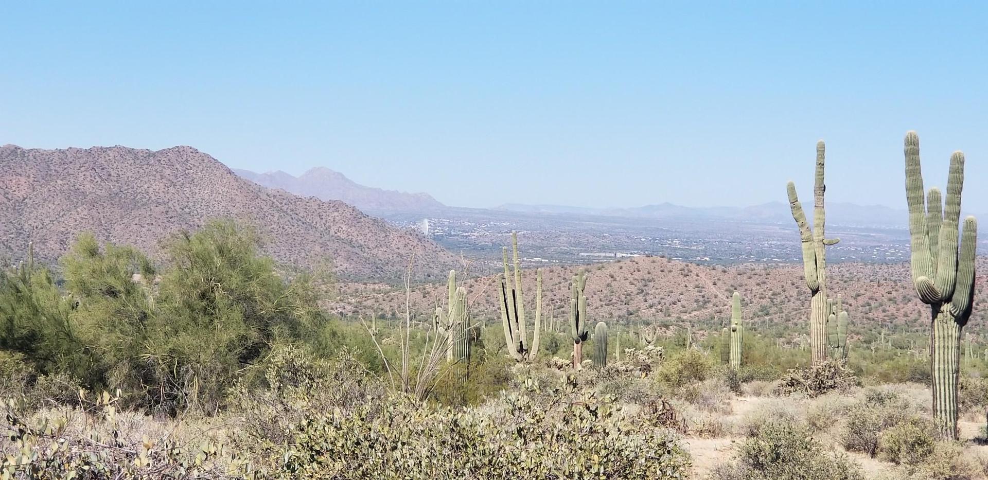 Desert landscape with saguaro cacti, distant mountains, and a city under clear skies.