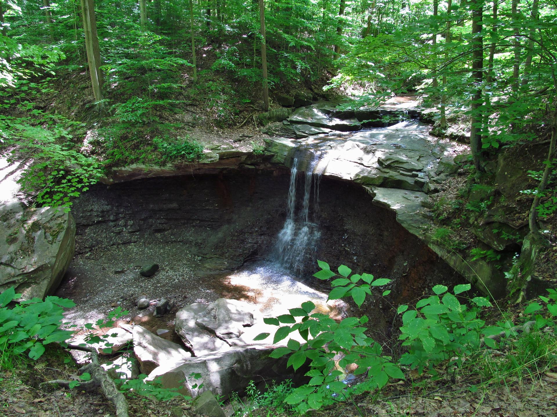 A small waterfall cascades into a rocky pool within a lush green forest.
