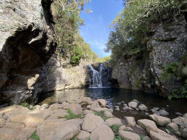 Levada do Pico da Urze e Levada do Alecrim — percurso circular na Ilha ...