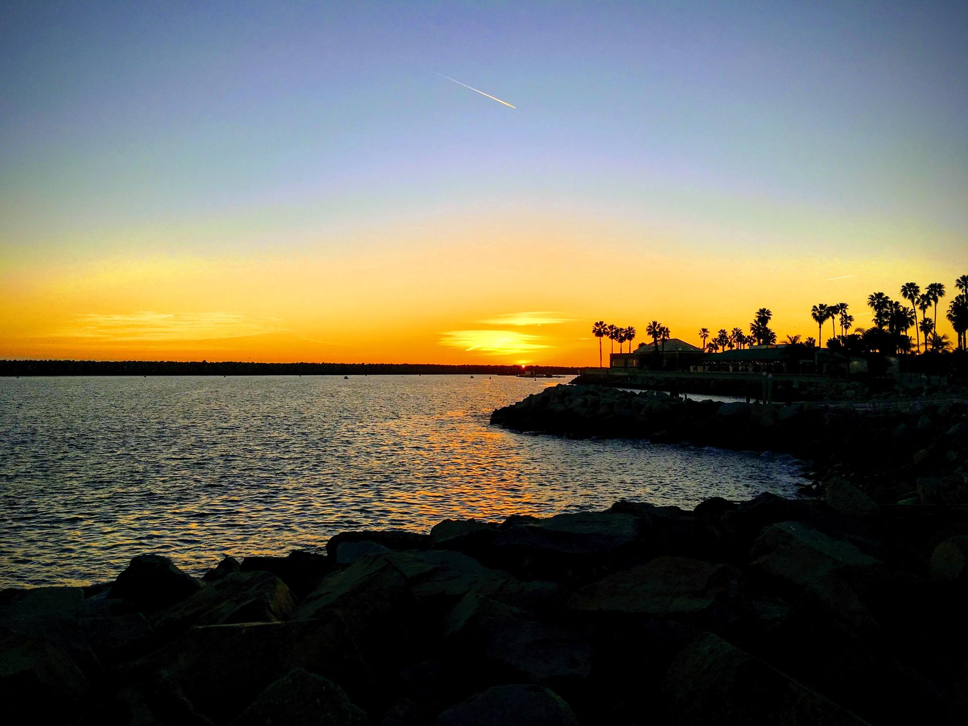 Golden sunset over calm ocean with silhouetted palm trees and rocky shore.