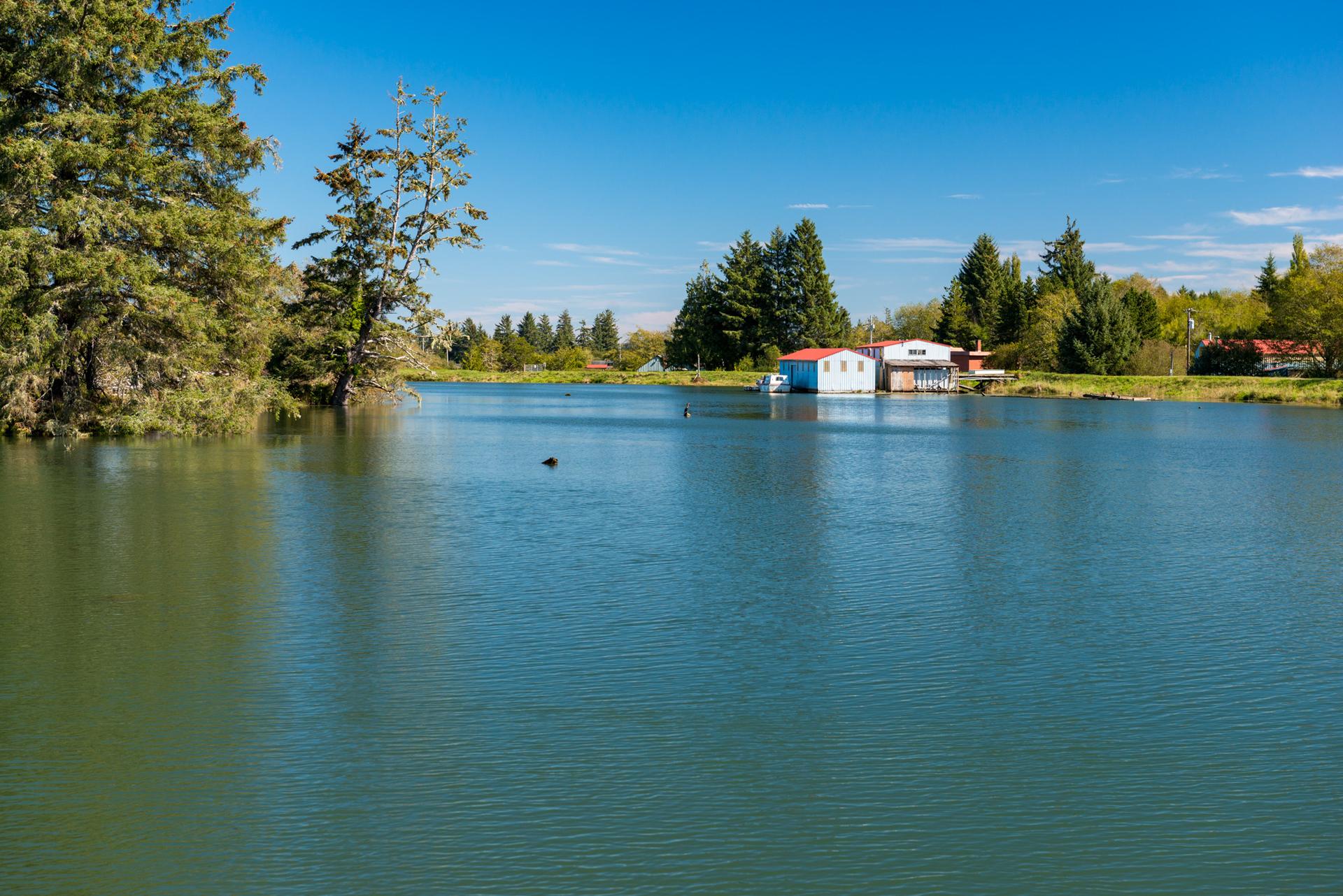 A serene lake with evergreen trees and a small house under a clear blue sky.