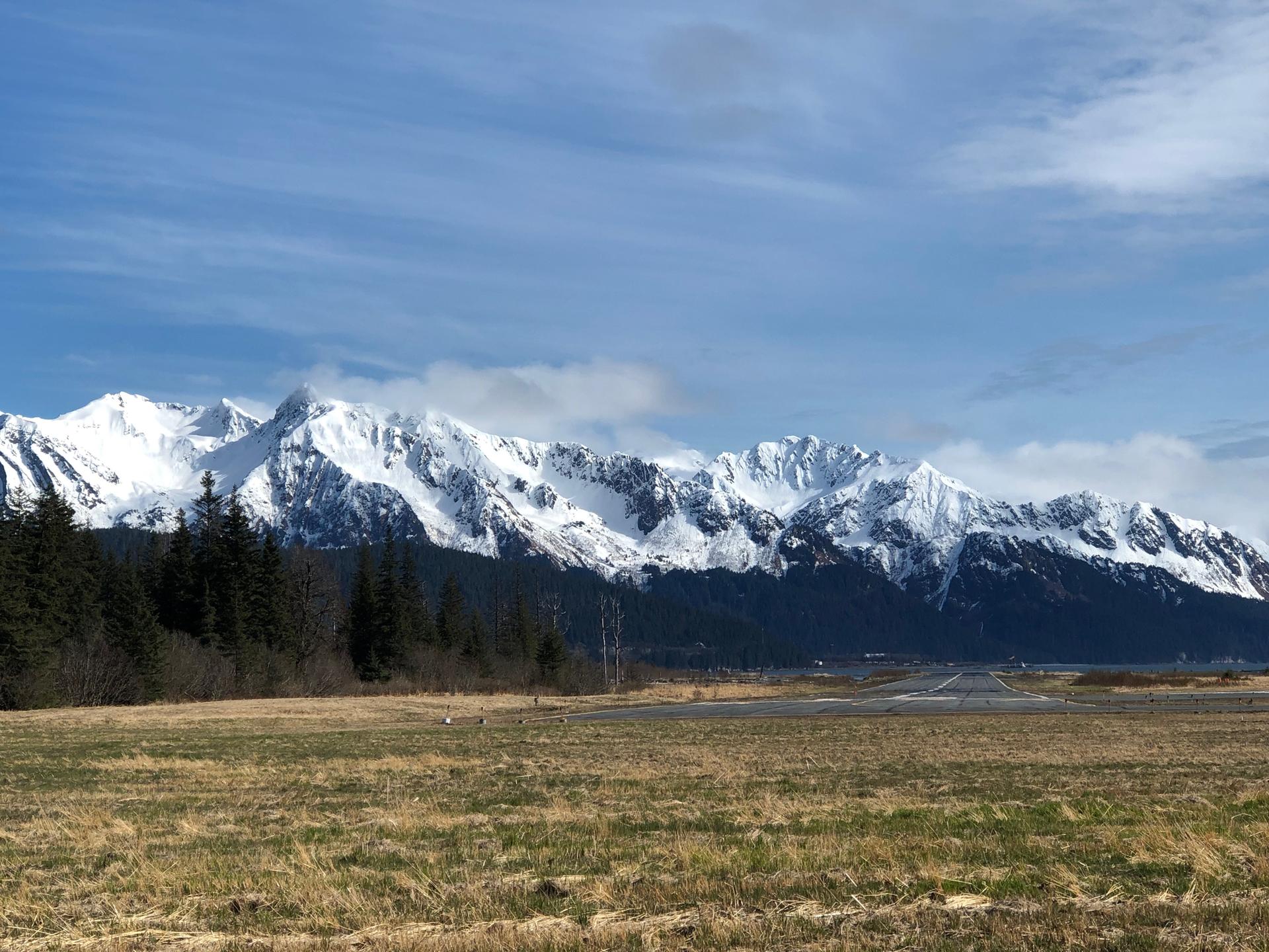 Majestic snow-capped mountains behind a grassy field on a sunny day.