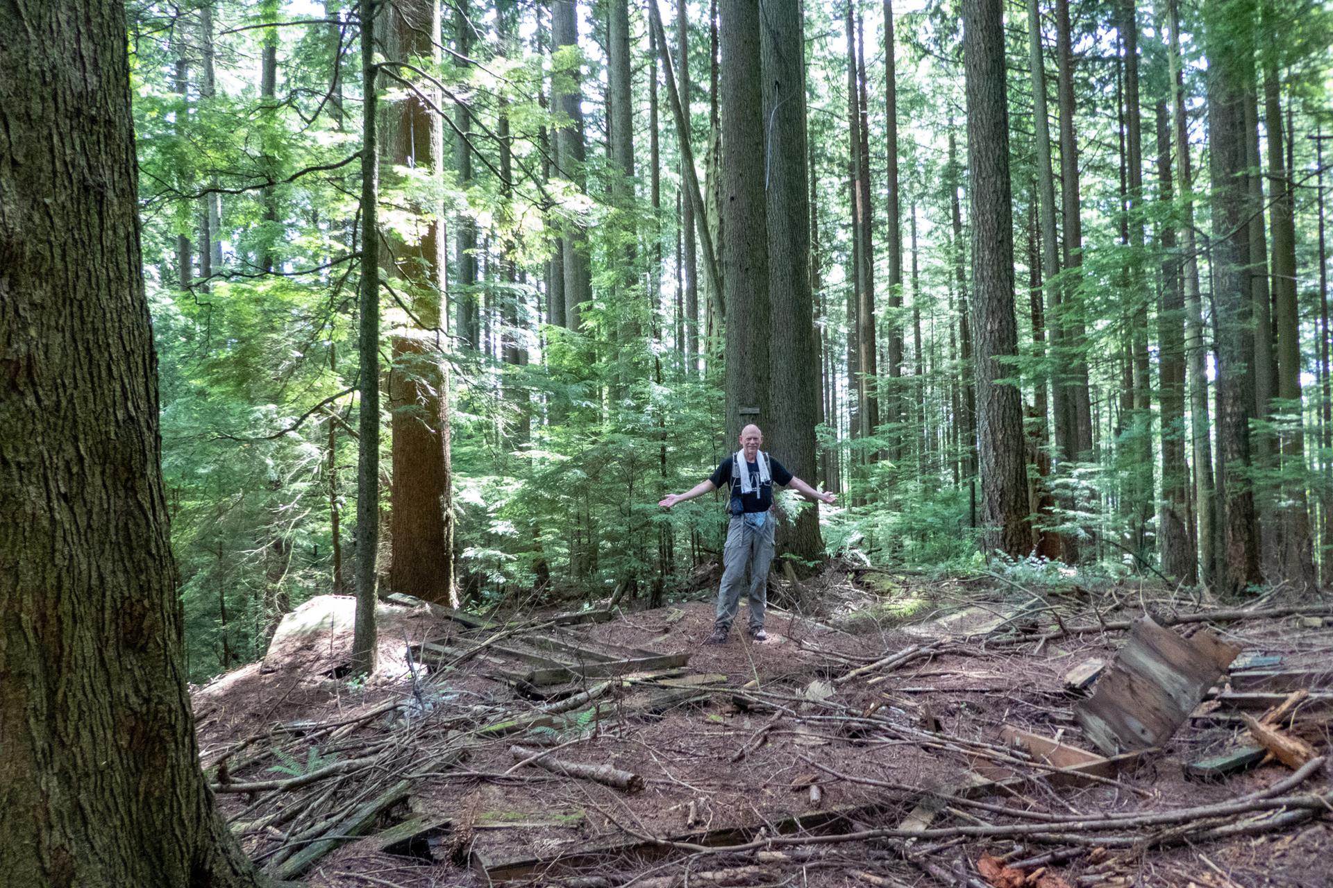 Person with outstretched arms in a sun-dappled, dense evergreen forest.