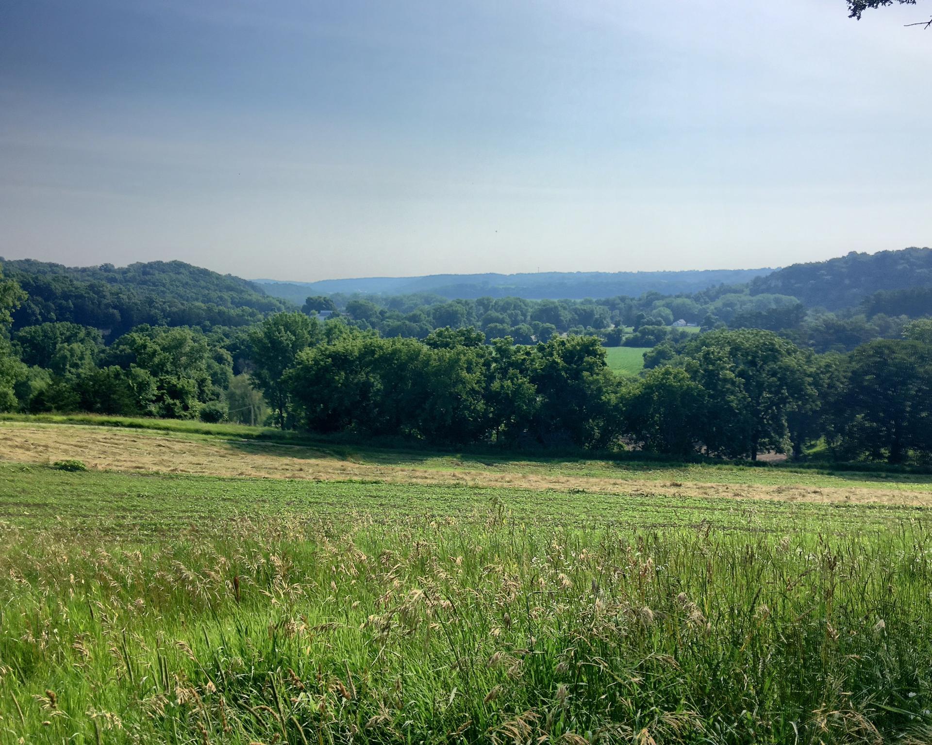 Expansive view of green fields and distant forests under a bright sky.