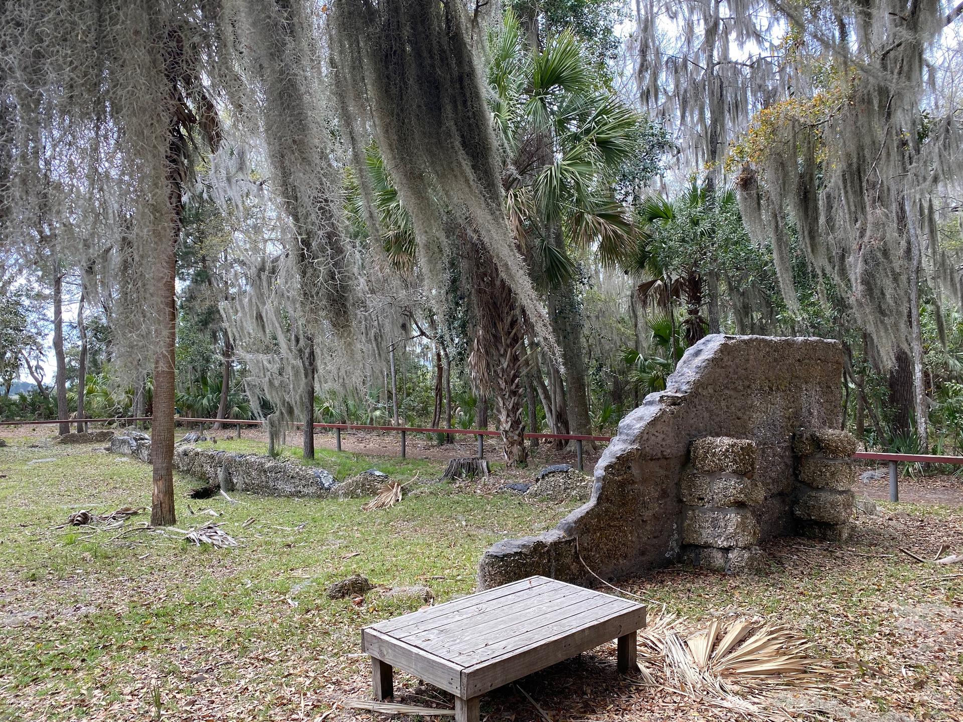 Stone ruins and a wooden bench in a forest with moss-covered trees.
