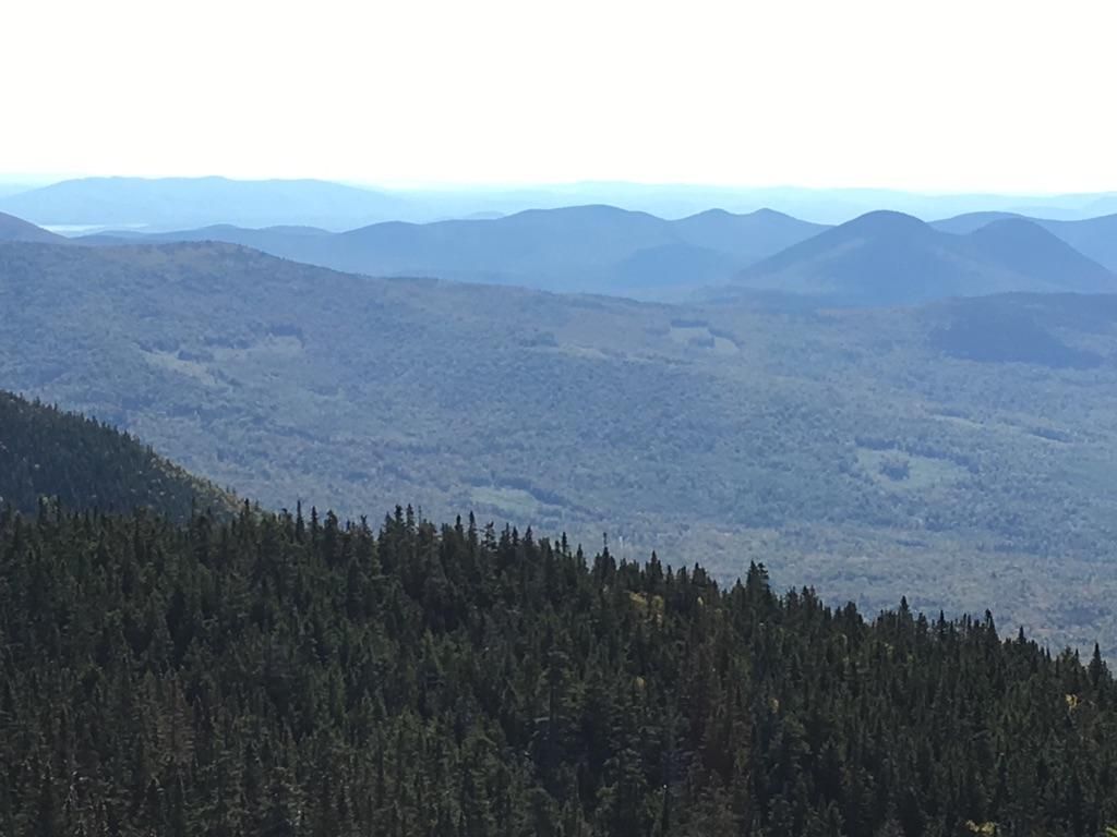 Expansive mountain landscape with dense forests under a bright, clear sky. - Wildcat Ridge Trail