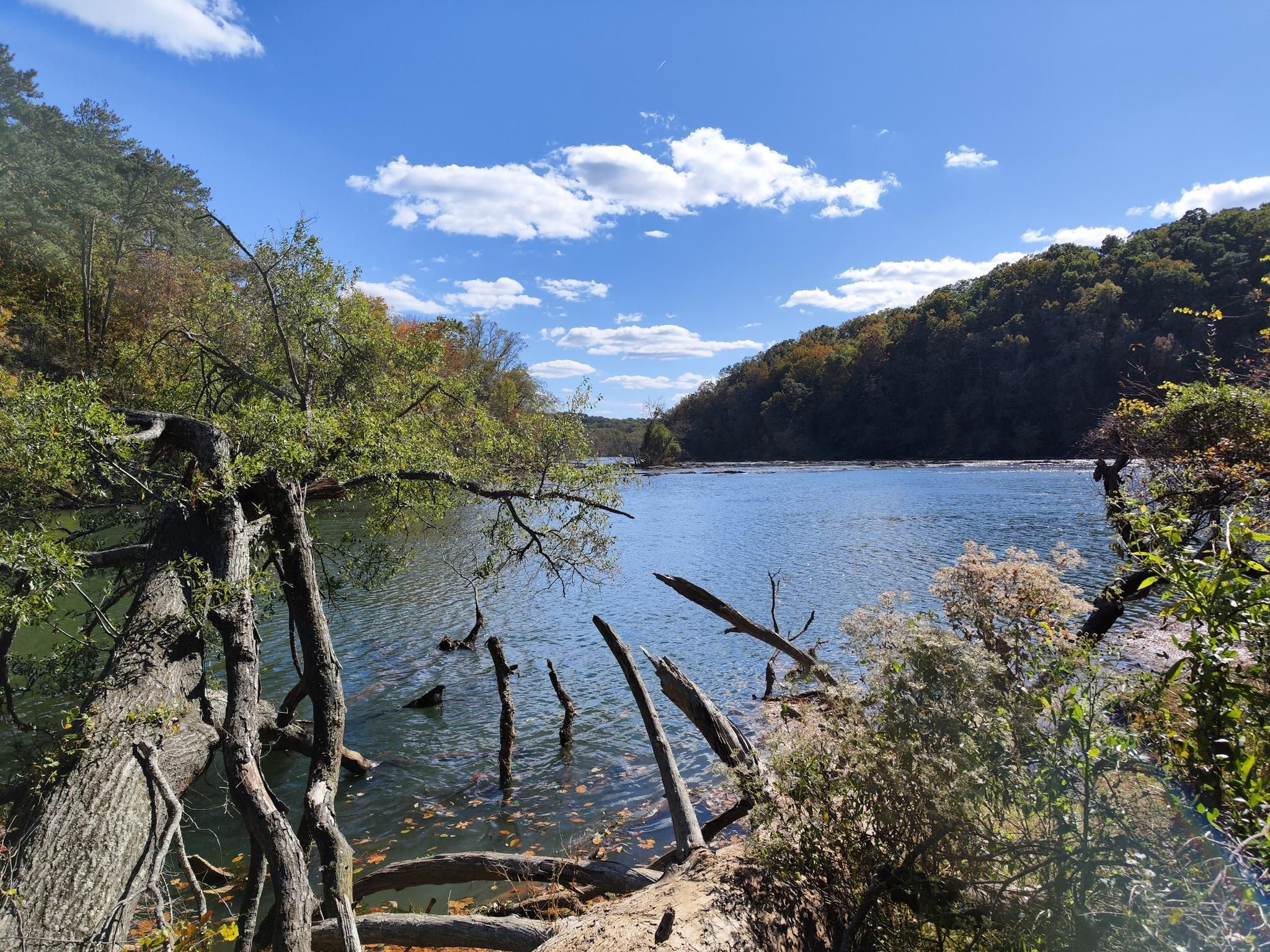 Wide river with fallen trees, surrounded by autumn hills under blue sky. - Chattahoochee River – Chattahoochee River View loop from Cochran Shoals Unit - Powers Island Parking Lot