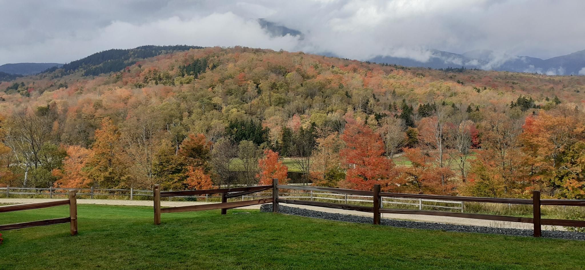 Overcast view of vibrant autumn hills and distant cloudy mountains. - Great Glen Trails loop