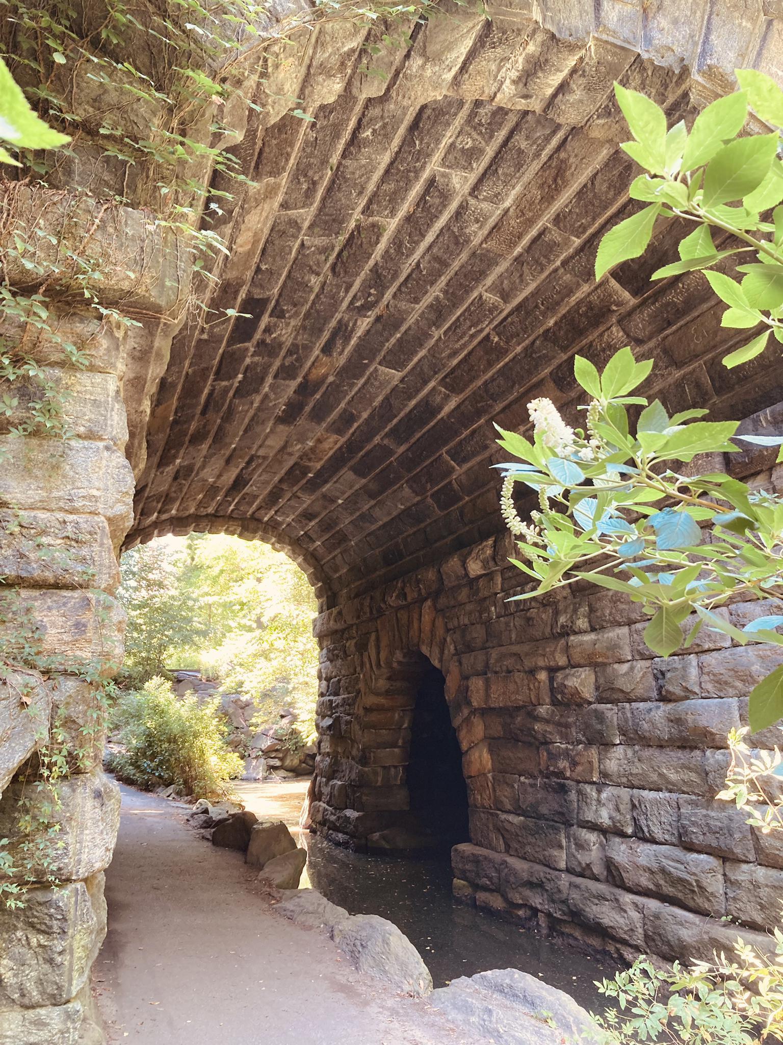 Inside a dark stone archway bridge with light at the tunnel's end.