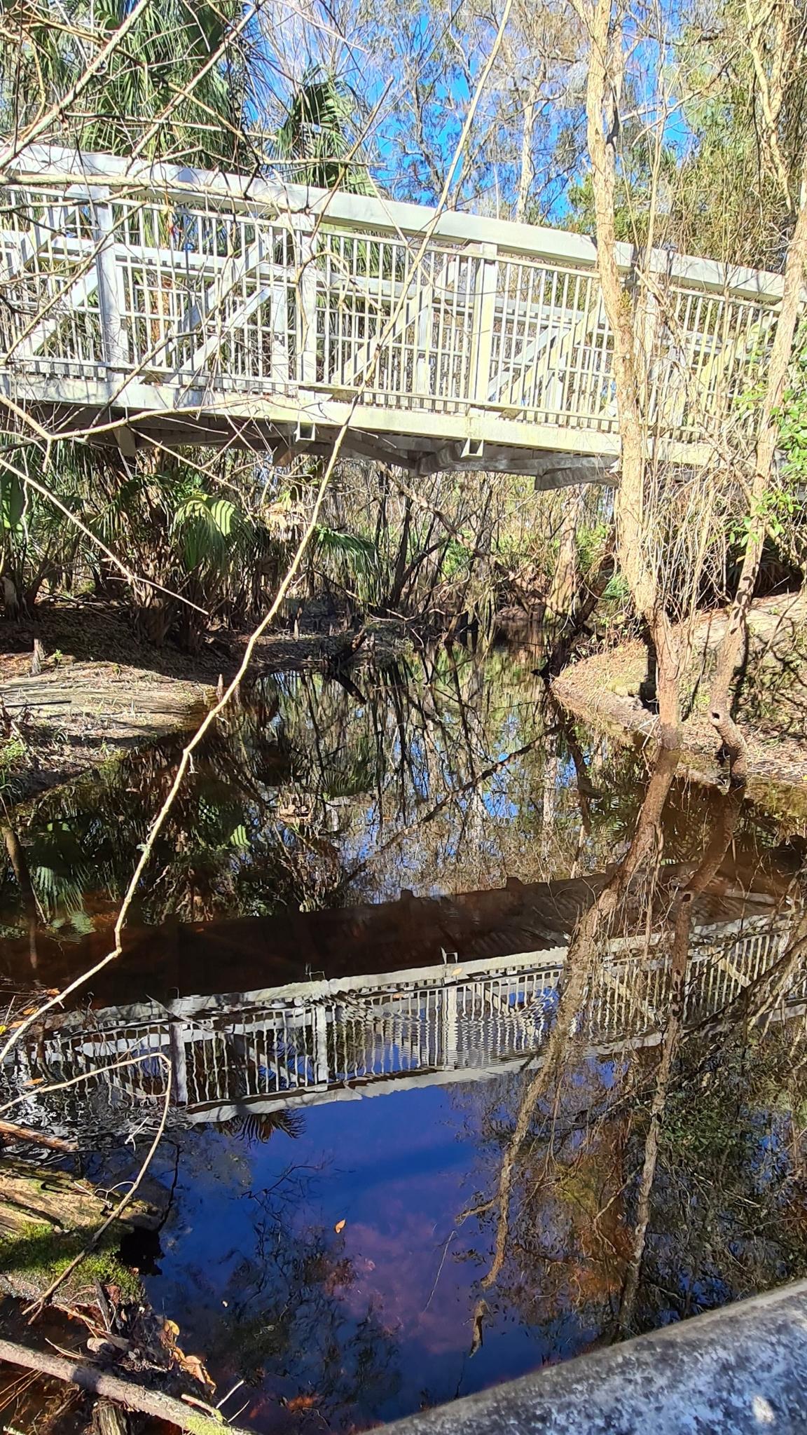 A white bridge spans dark, reflective water surrounded by trees on a sunny day.